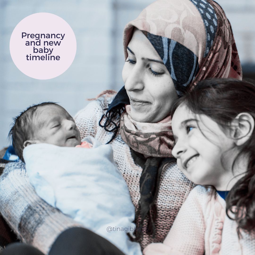 pregnancy and new baby timeline