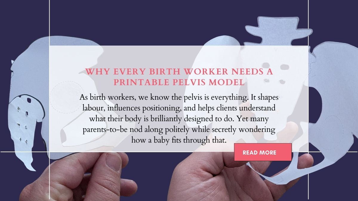 printable female pelvis model